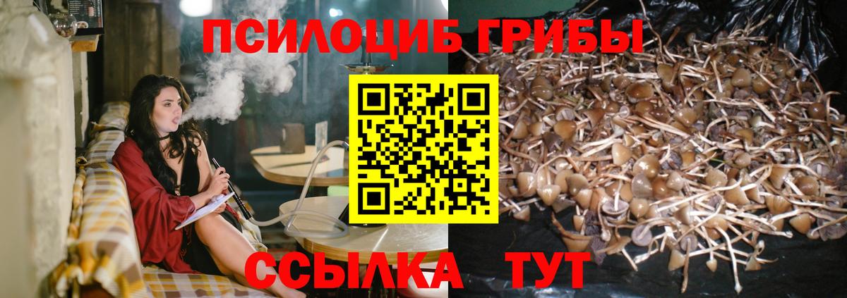 Галлюциногенные грибы мухоморы Североморск