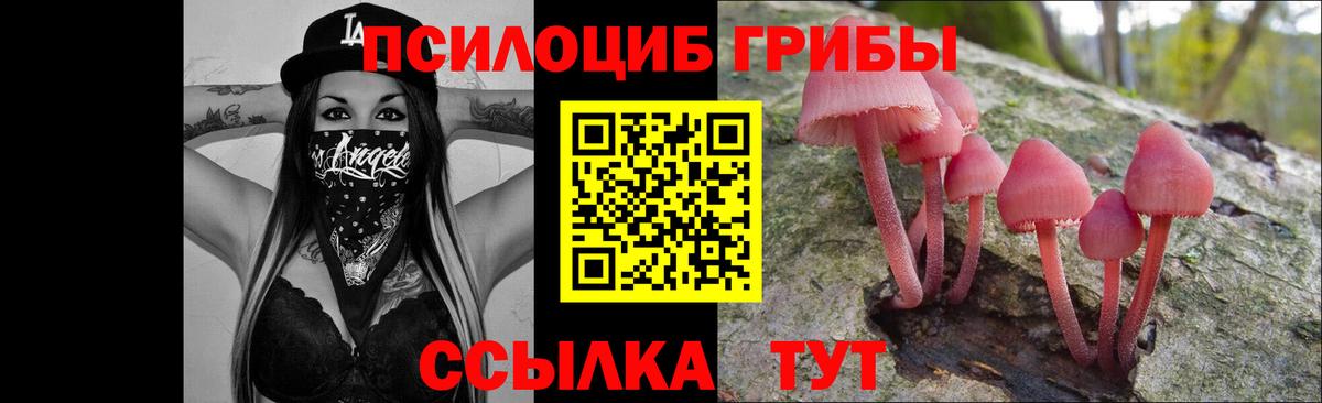 Псилоцибиновые грибы мицелий  Псилоцибиновые грибы Cubensis  Вход с VPN  Североморск 